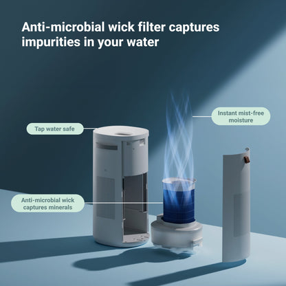 2-in-1 Purify + Humidify Replacement Wick