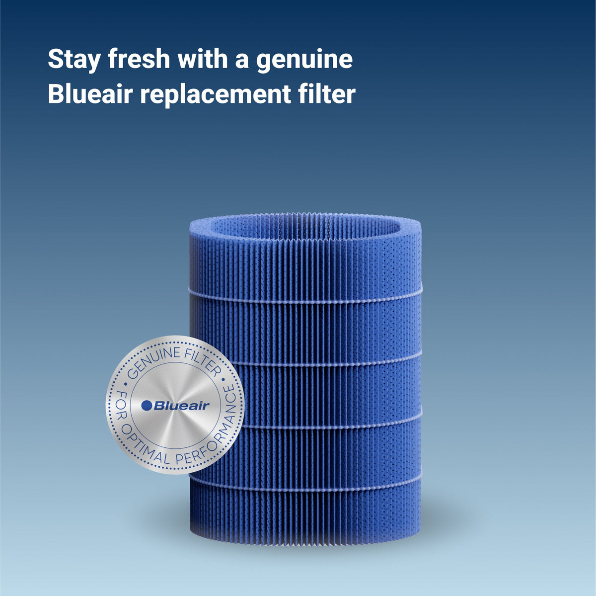 2-in-1 Purify + Humidify Replacement Wick