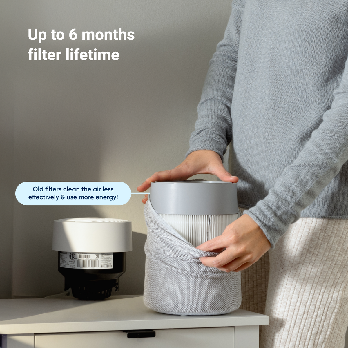 Blue Pure Mini Max Allergenblock Filter