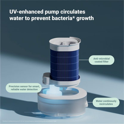 2-in-1 Purify + Humidify