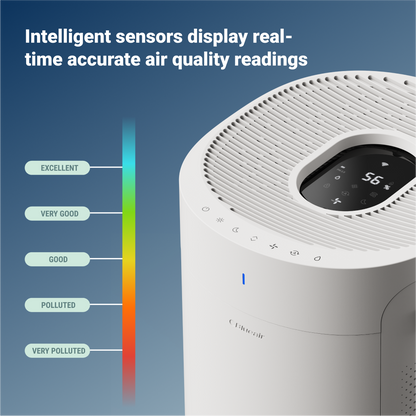 2-in-1 Purify + Humidify
