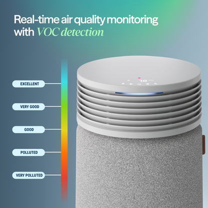 Blue Signature™ Medium Nordic Fog