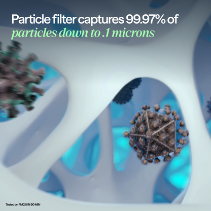 Blue Pure 511i Max Particle + Carbon Filter