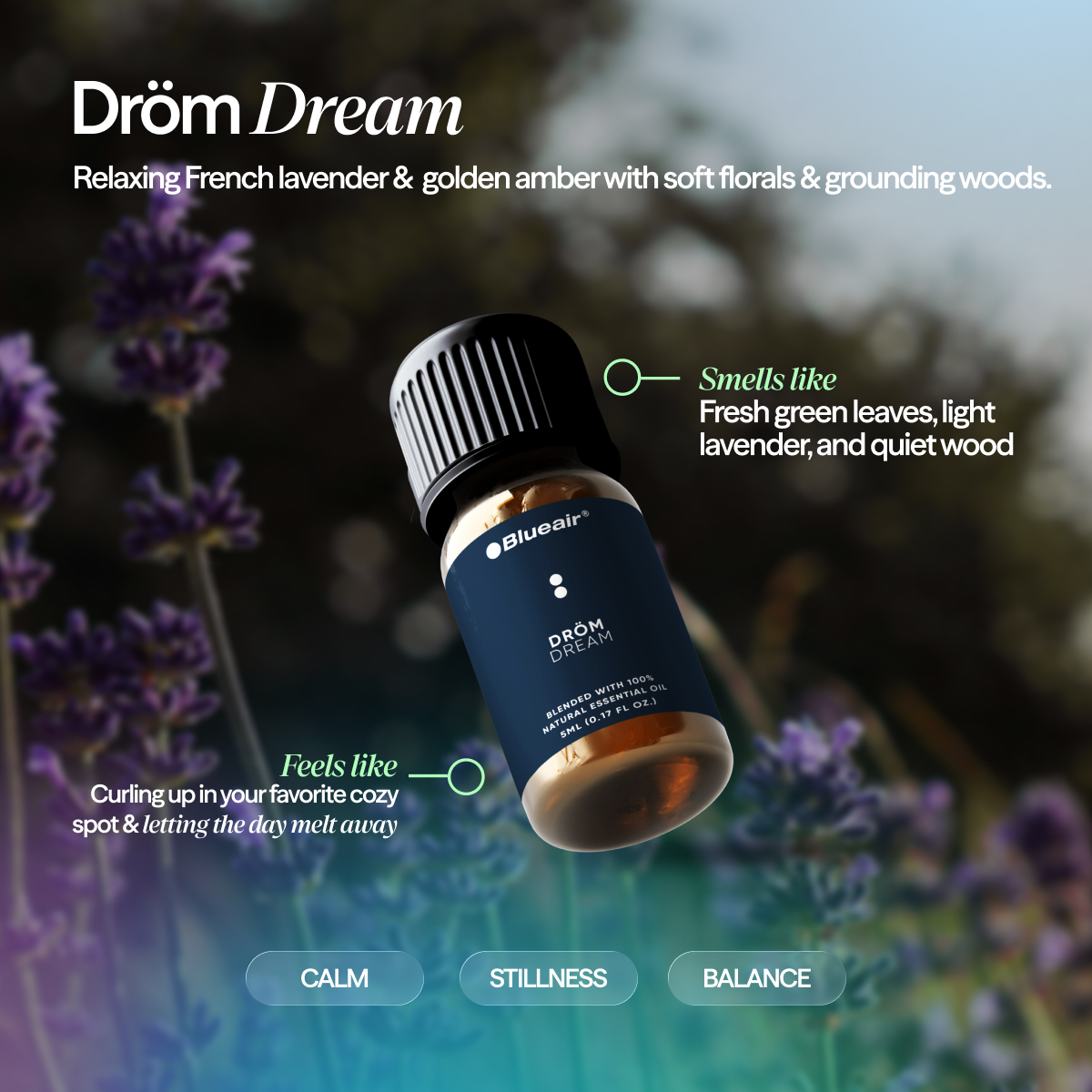 The Serenity Aroma Collection